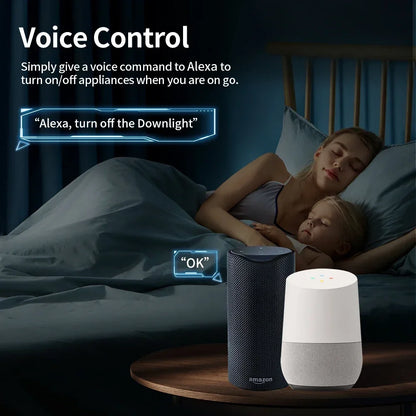 Prise Connectée WiFi 20A avec Minuteur et Suivi Énergie – Alexa / Google home